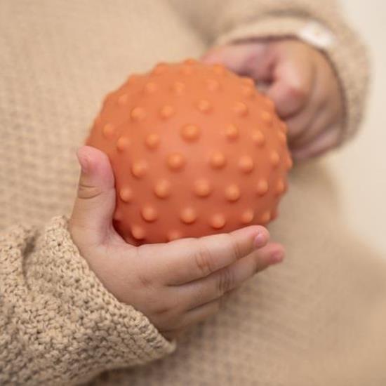 Little Dutch Sensory Balls Set – Little Farm