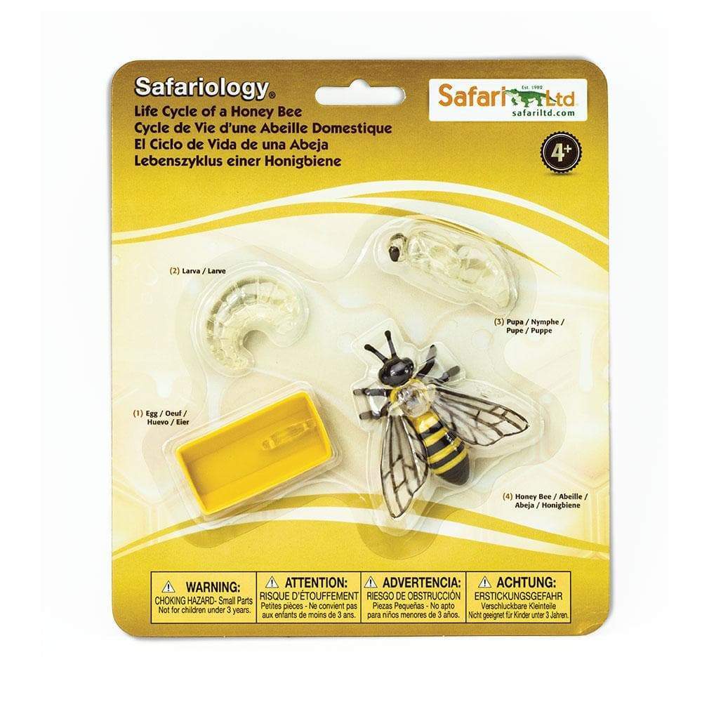 Safari Ltd Safariology® – Life Cycle Of A Honey Bee