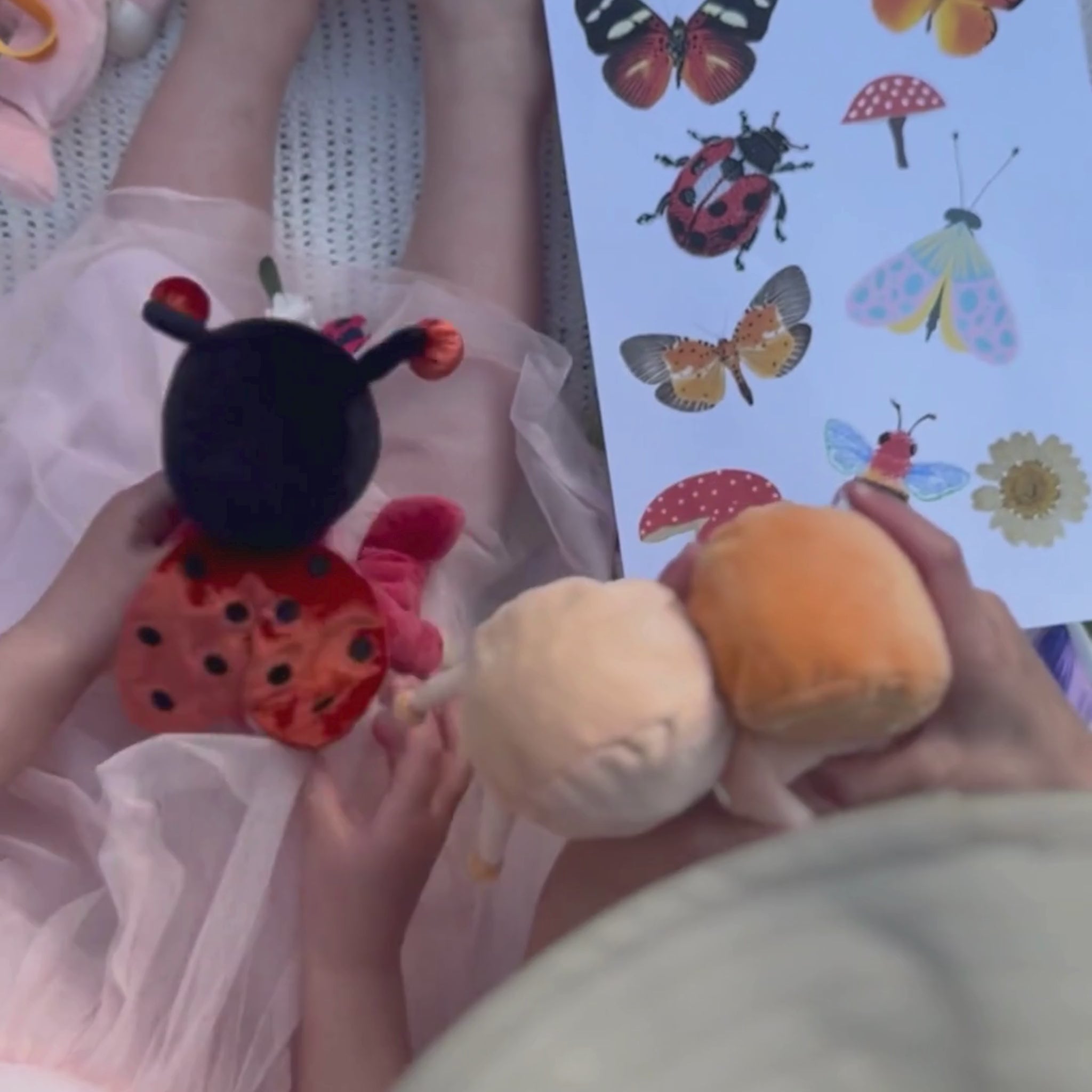 Olli Ella Backyard Buddies Dinky Dinkum Doll – Lola Ladybug