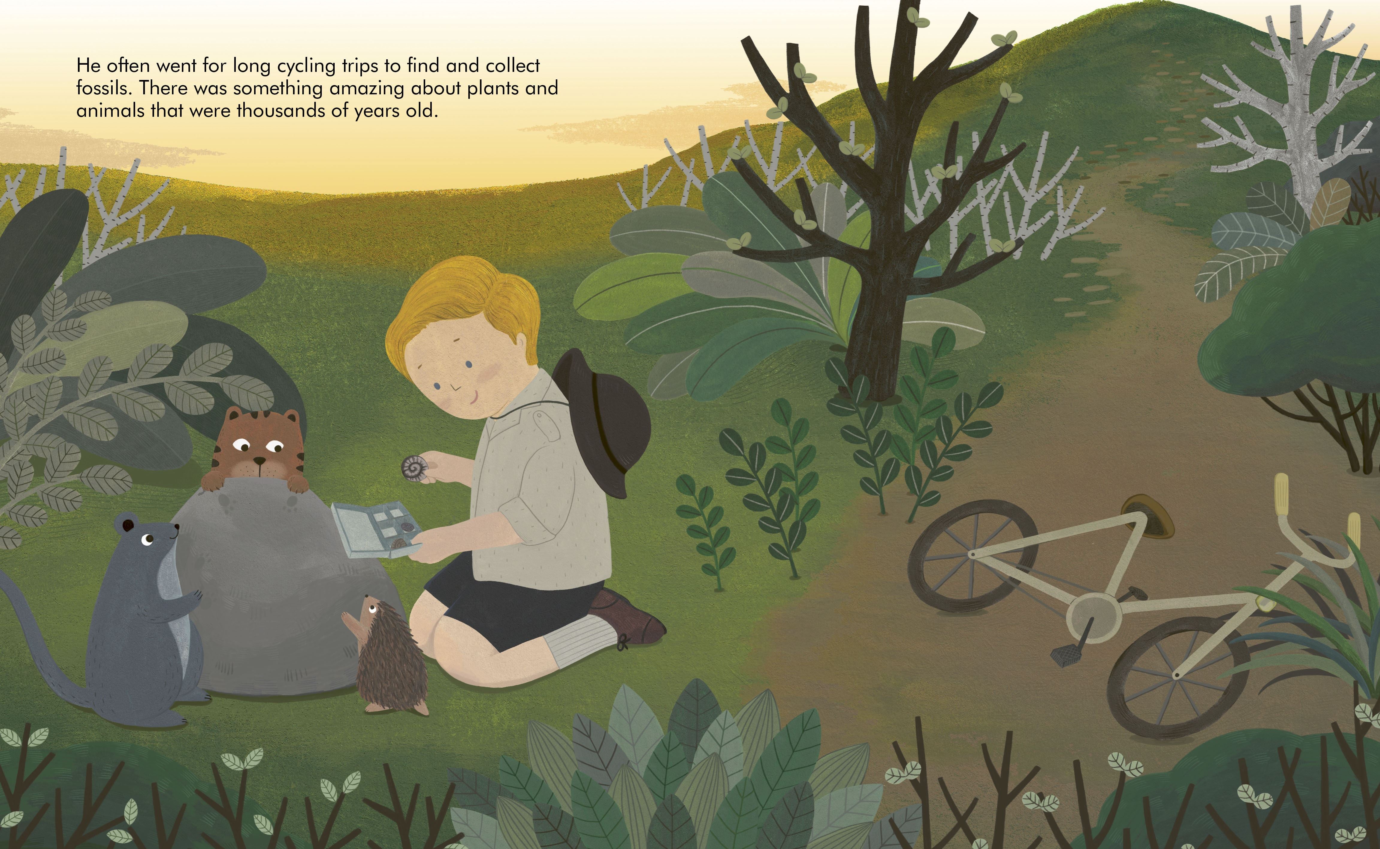 Little People, Big Dreams: David Attenborough