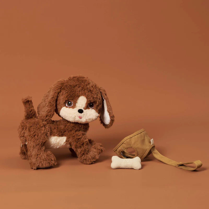 Olli Ella Dinkum Dog – Buddy