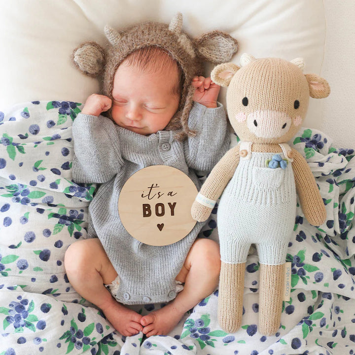 Cuddle + Kind Asher the Cow