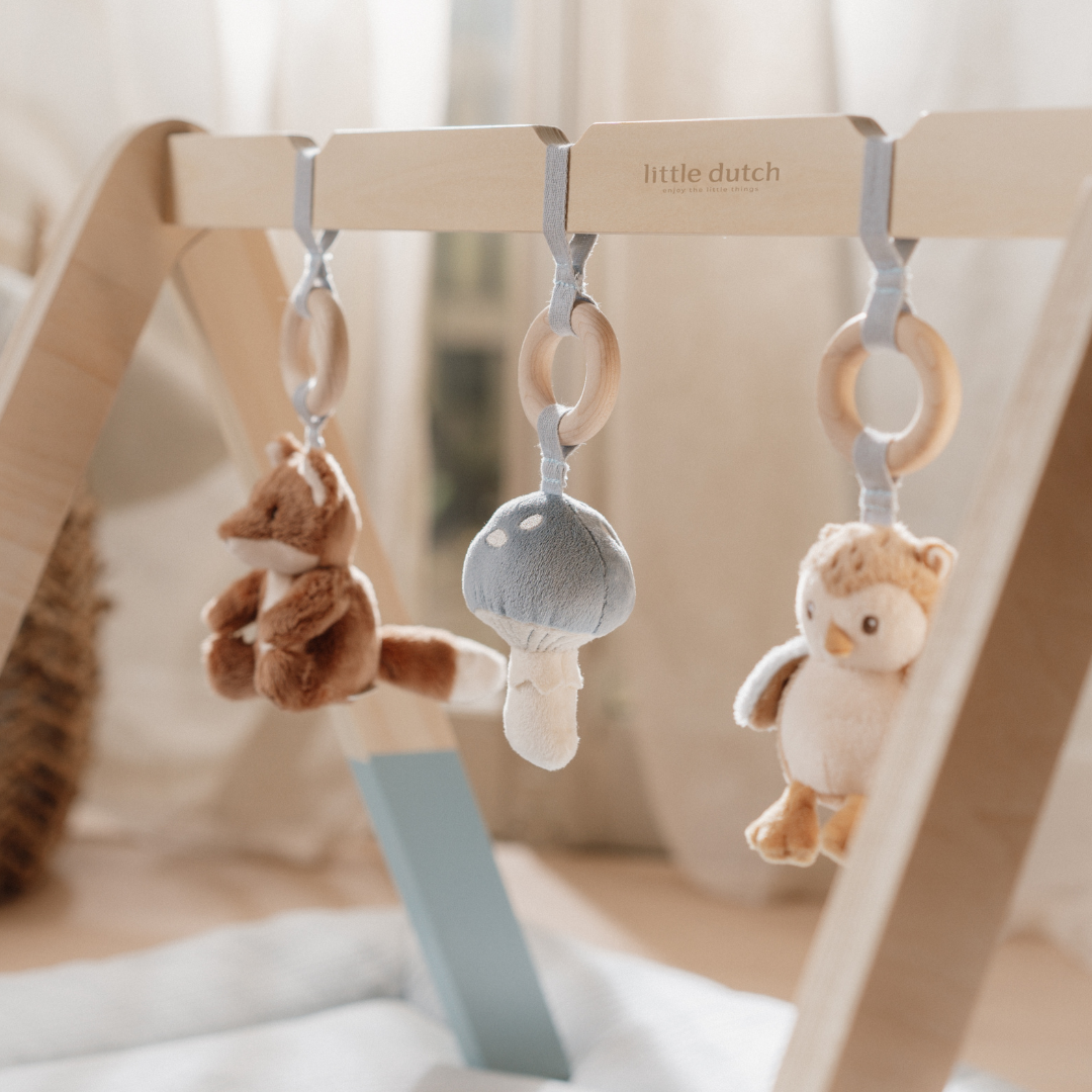 Little Dutch Baby Play Gym – Forest Friends