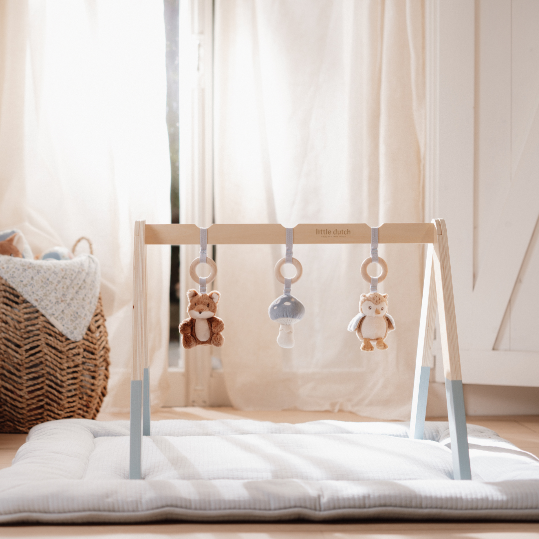 Little Dutch Baby Play Gym – Forest Friends