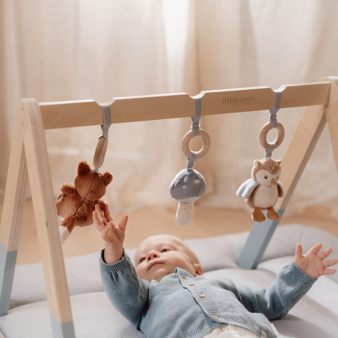 Little Dutch Baby Play Gym – Forest Friends