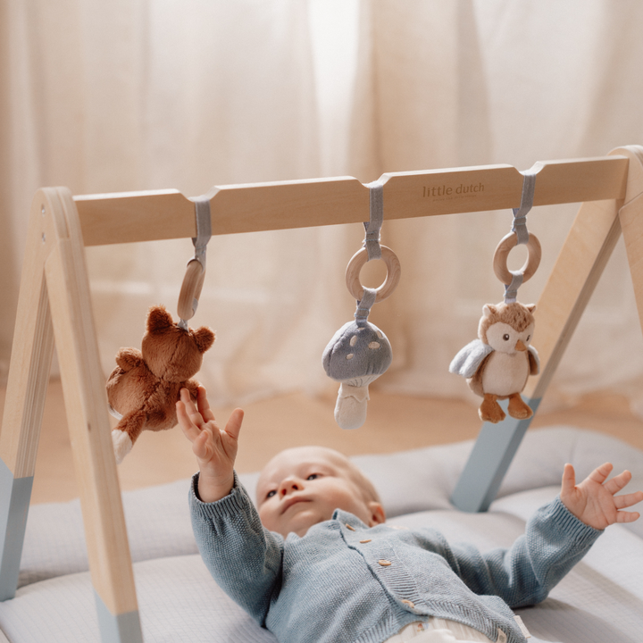 Little Dutch Baby Play Gym – Forest Friends