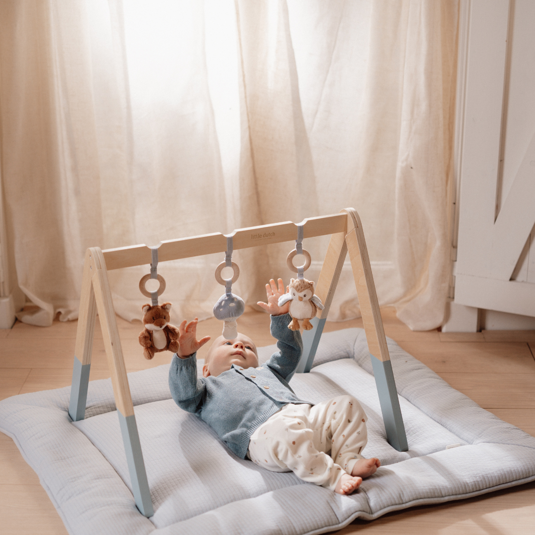 Little Dutch Baby Play Gym – Forest Friends