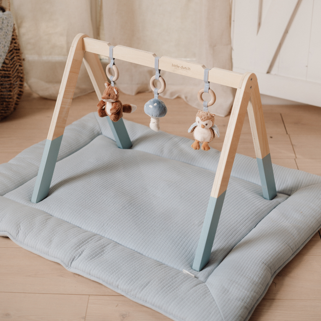 Little Dutch Baby Play Gym – Forest Friends