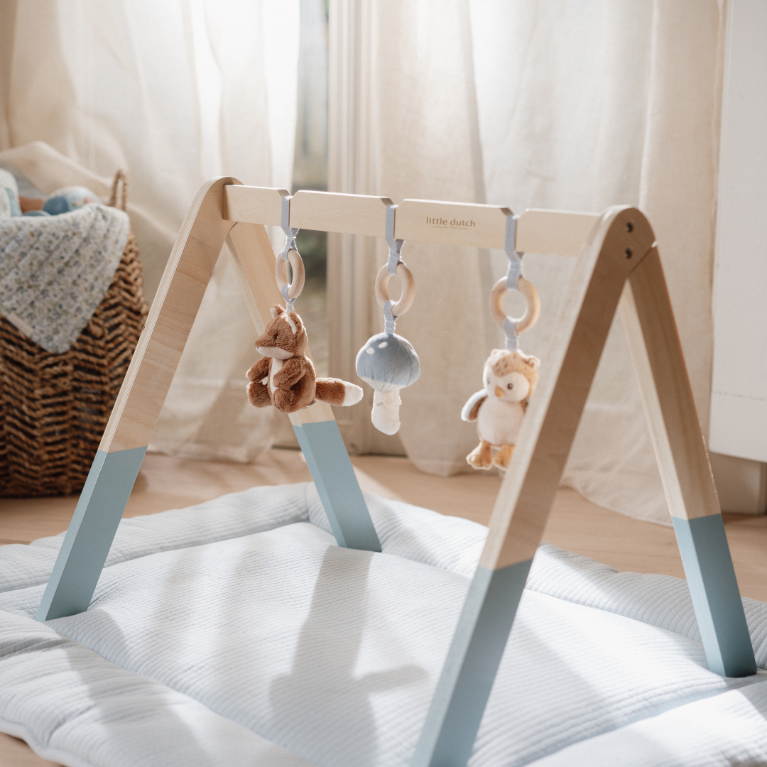 Little Dutch Baby Play Gym – Forest Friends