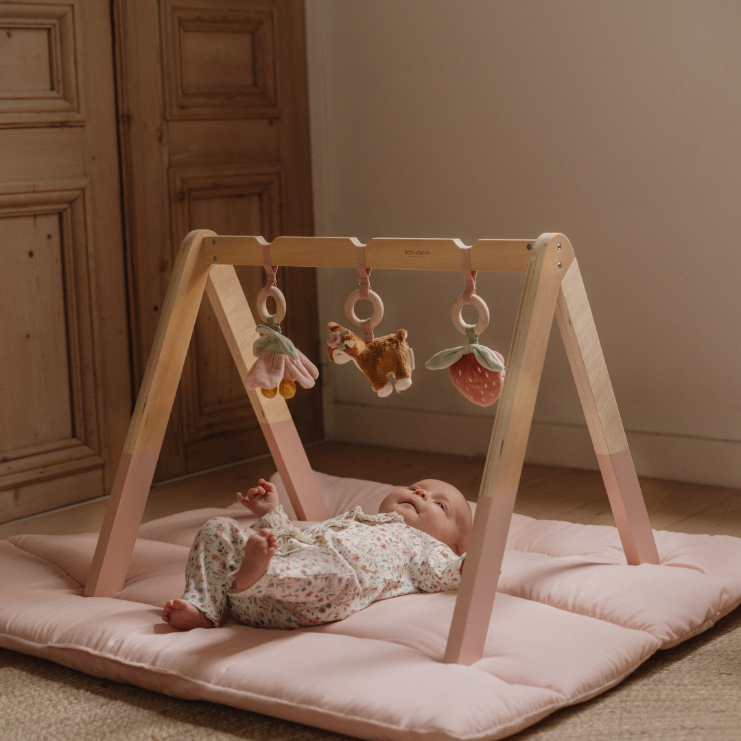 Little Dutch Baby Play Gym – Fairy Garden