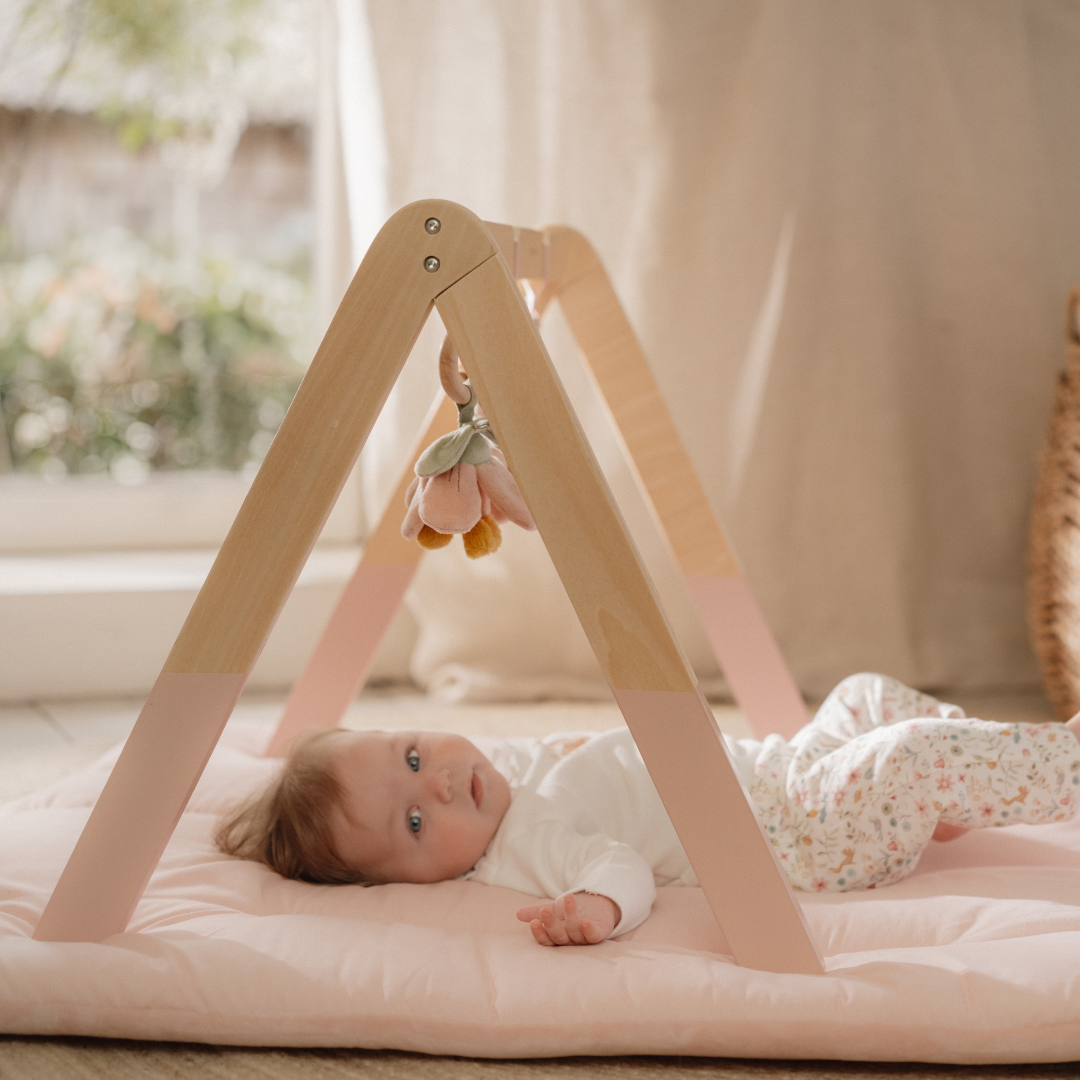 Little Dutch Baby Play Gym – Fairy Garden