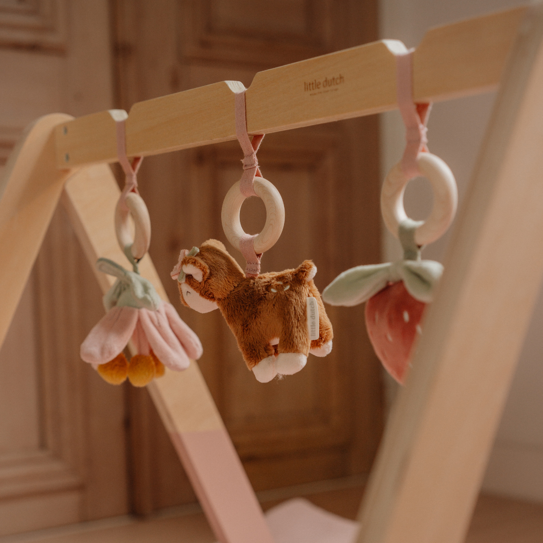 Little Dutch Baby Play Gym – Fairy Garden