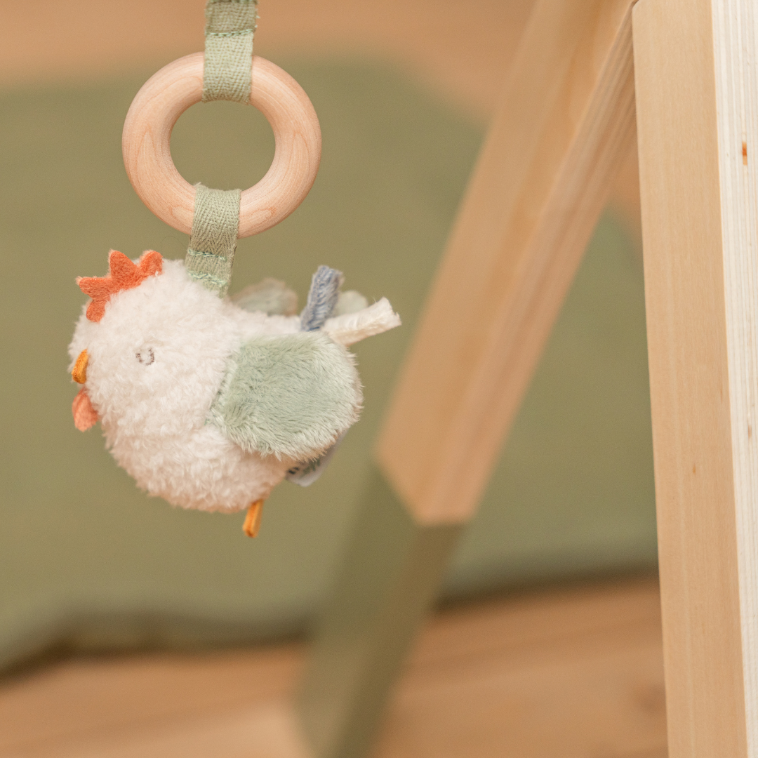 Little Dutch Baby Play Gym – Little Farm