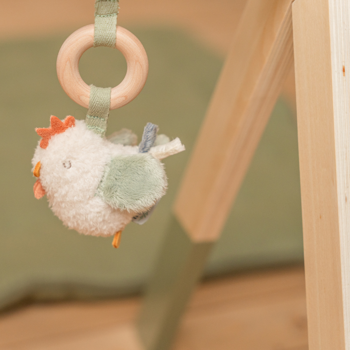 Little Dutch Baby Play Gym – Little Farm