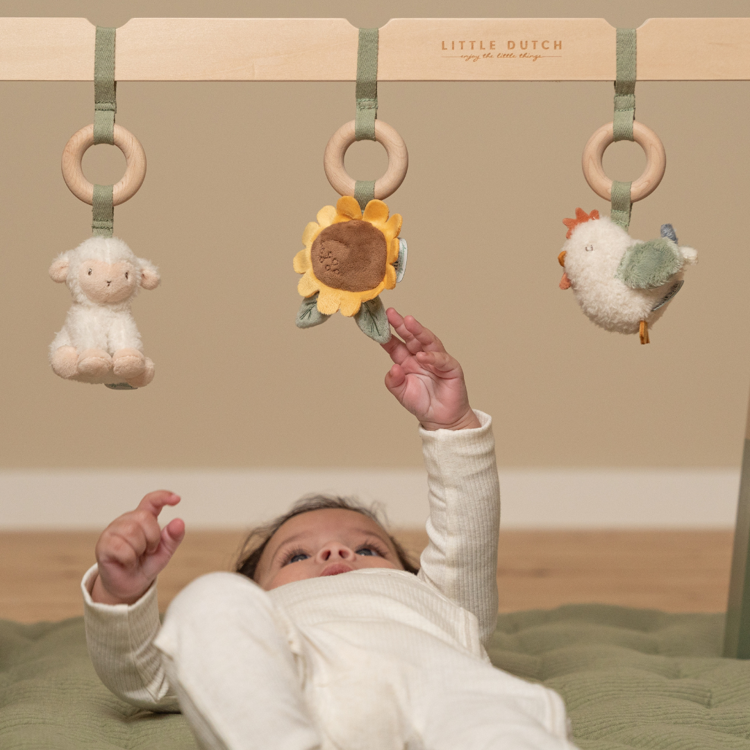 Little Dutch Baby Play Gym – Little Farm