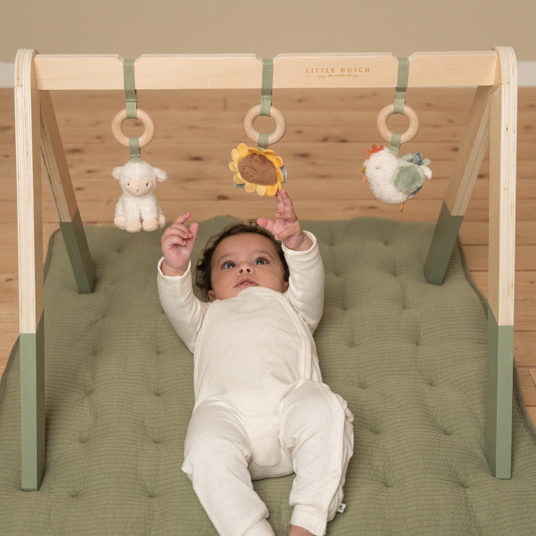 Little Dutch Baby Play Gym – Little Farm