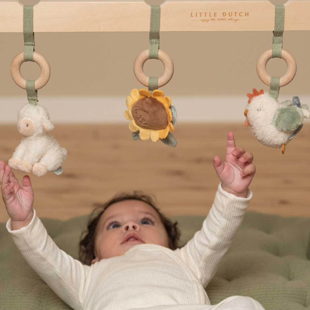 Little Dutch Baby Play Gym – Little Farm