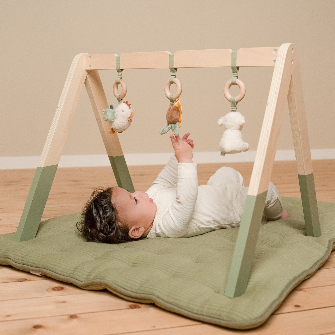 Little Dutch Baby Play Gym – Little Farm