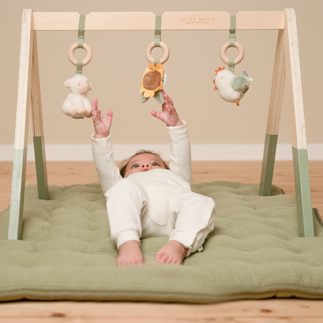 Little Dutch Baby Play Gym – Little Farm