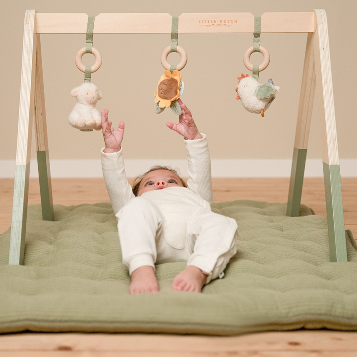 Little Dutch Baby Play Gym – Little Farm