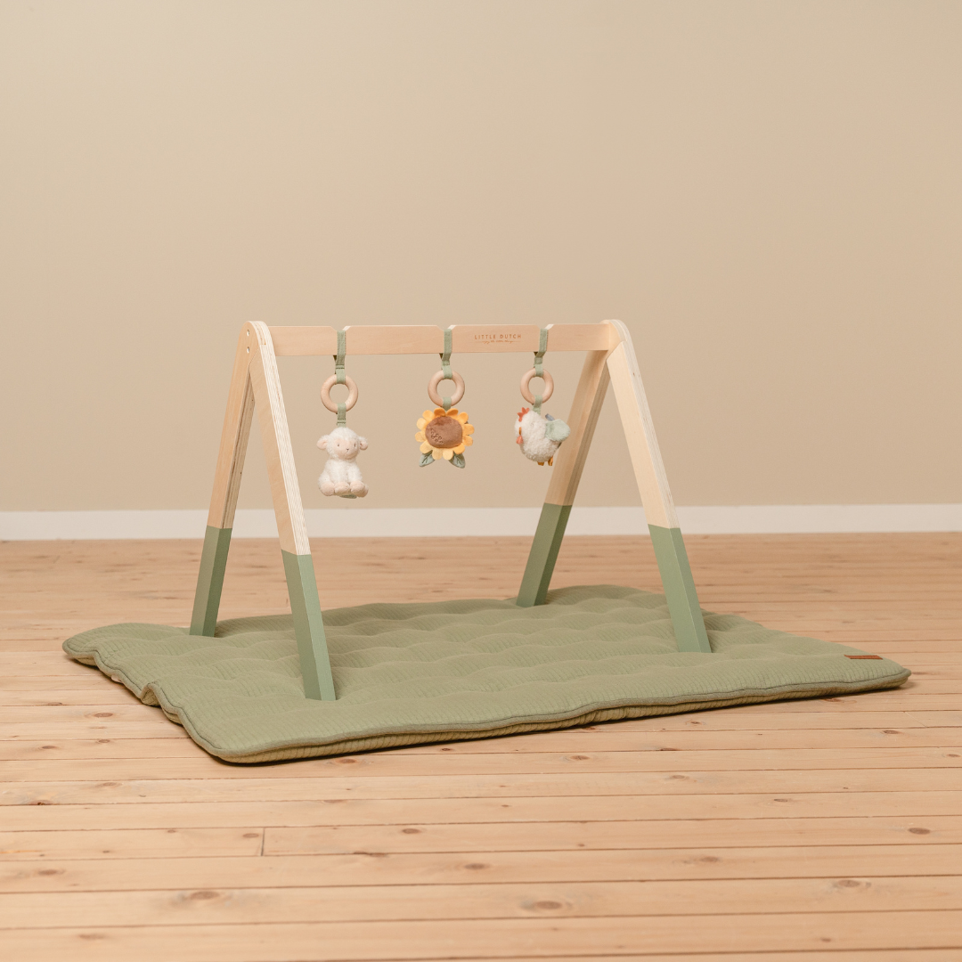 Little Dutch Baby Play Gym – Little Farm