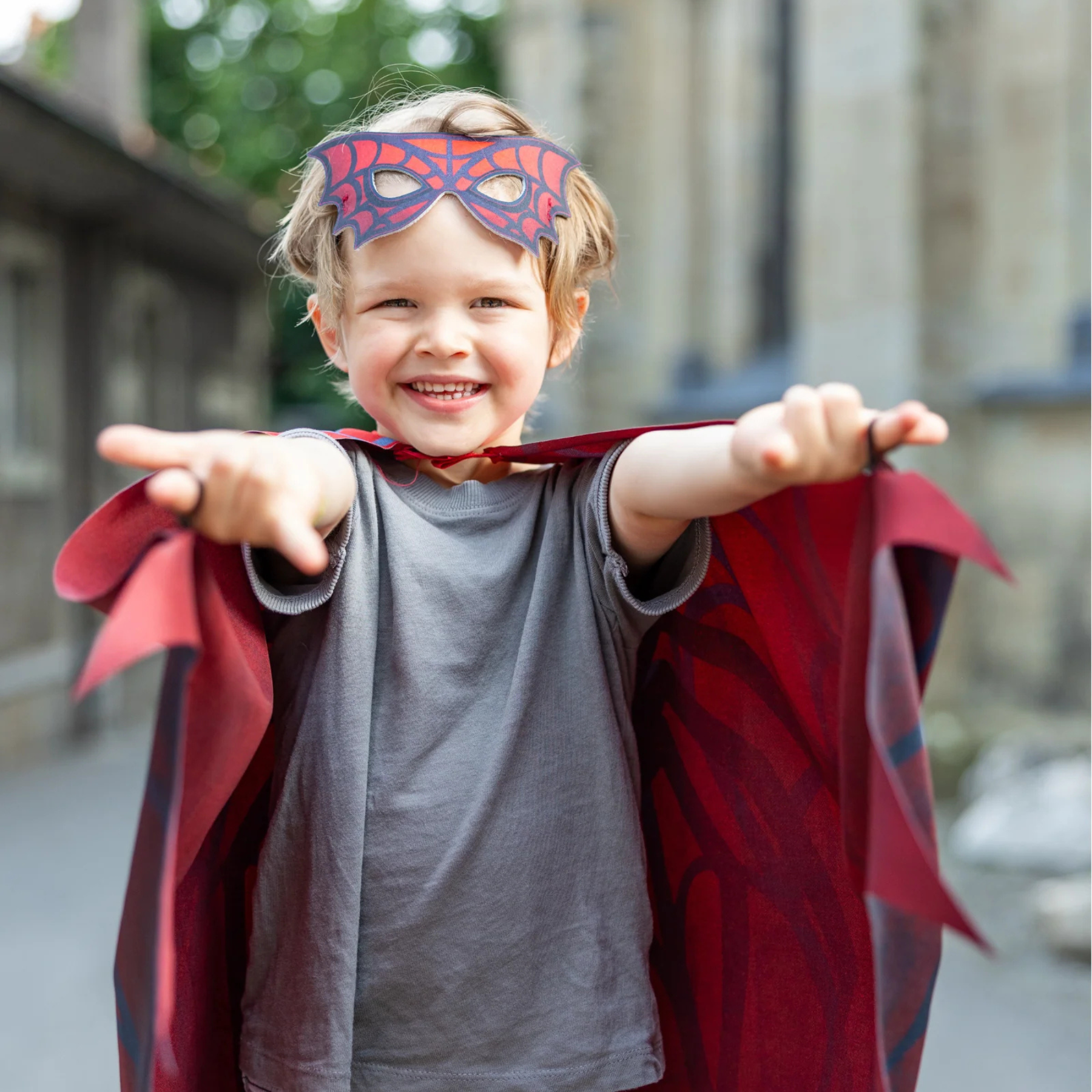 Great Pretenders Web Weaver Soft Wings & Mask