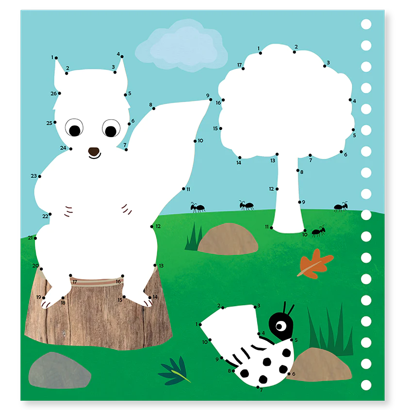 Floss &amp; Rock Magic Multiplay – Adventure