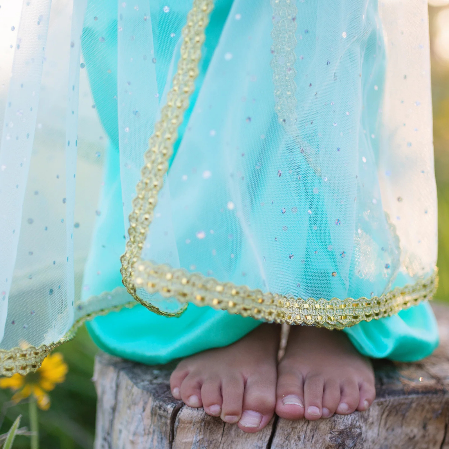 Great Pretenders Jasmine Princess Play Costume Set