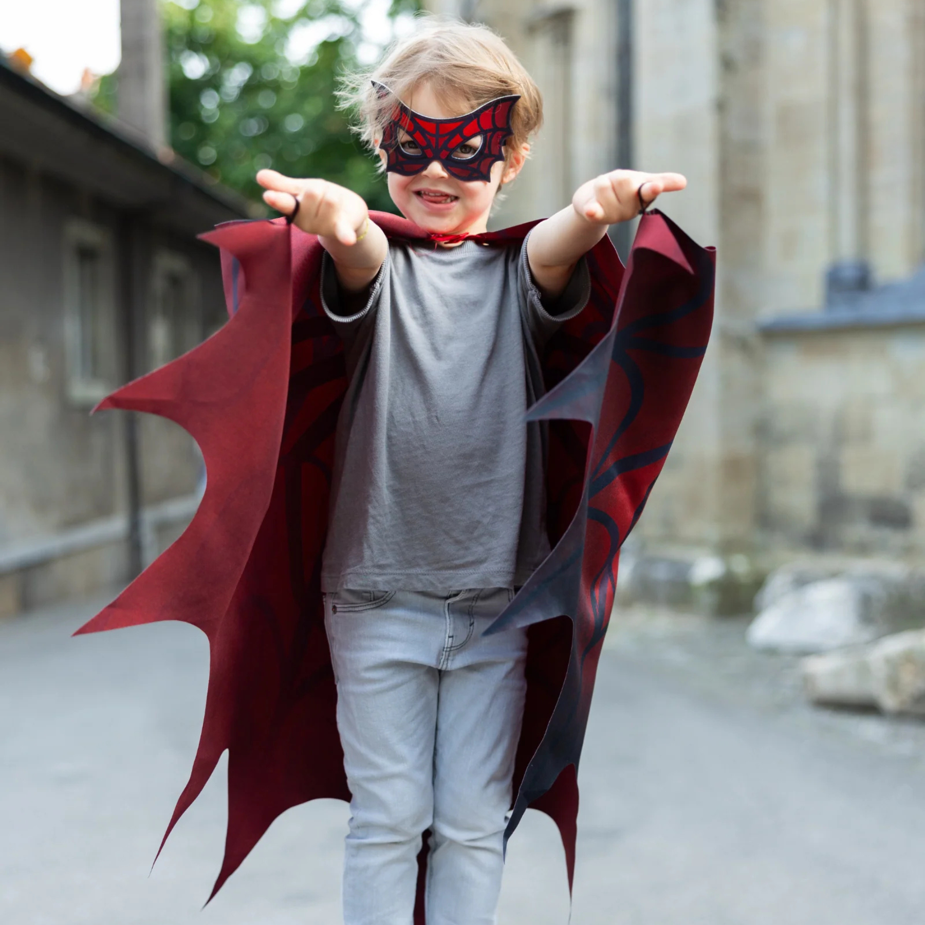 Great Pretenders Web Weaver Soft Wings & Mask