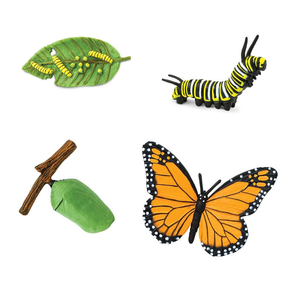 Safari Ltd Safariology® – Life Cycle Of A Monarch Butterfly