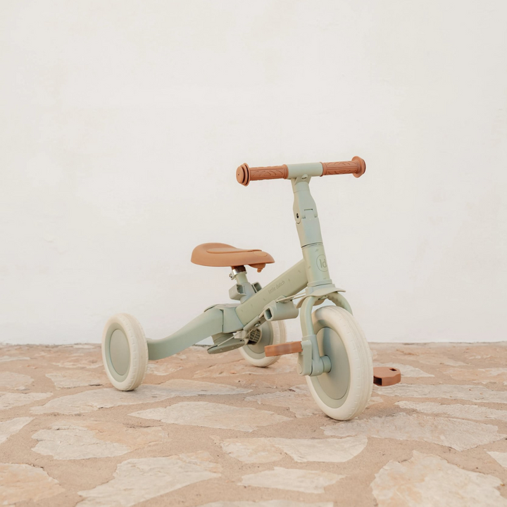Little Dutch 4-in-1 Tricycle – Green Leaf
