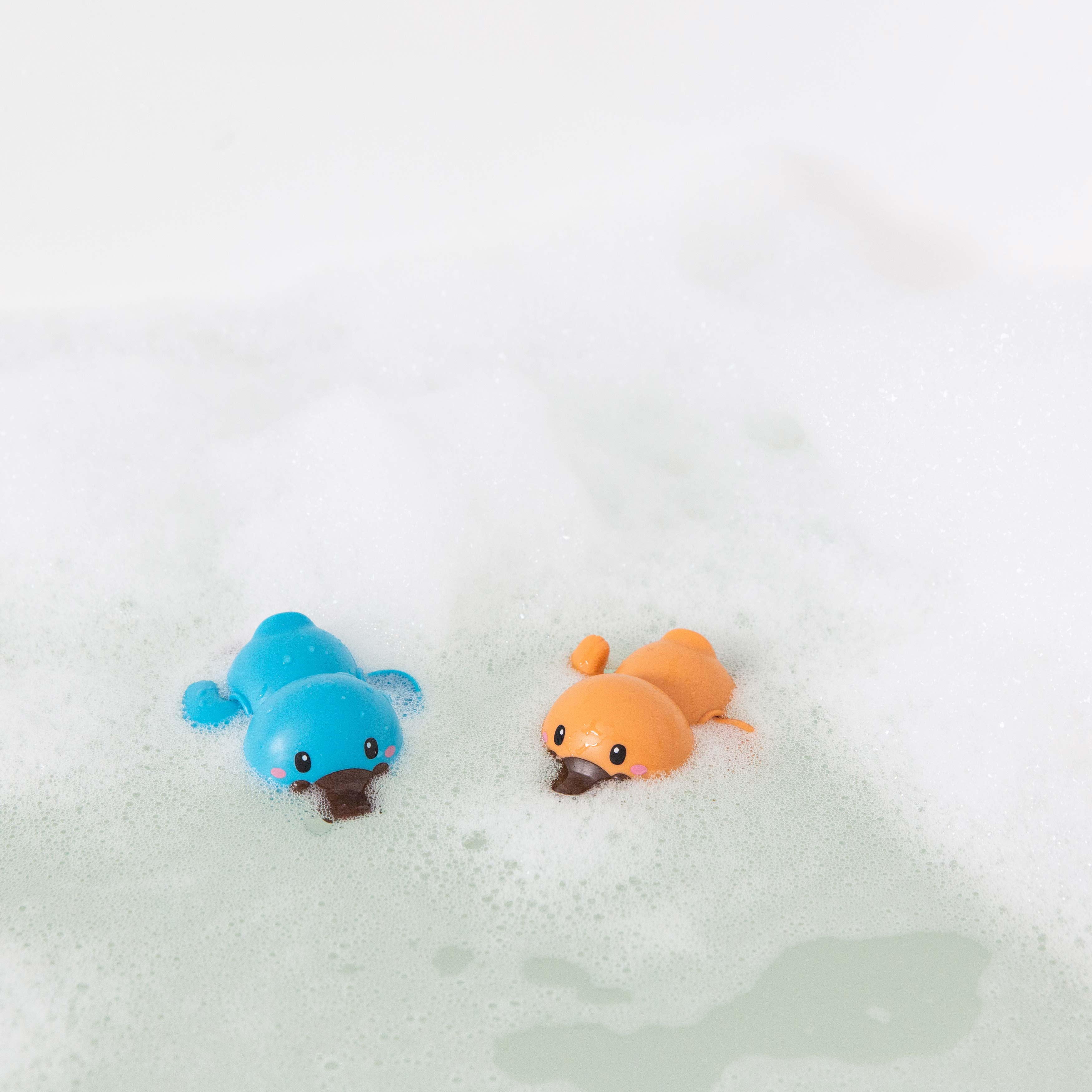 Tiger Tribe Bath Racers – Platypuses
