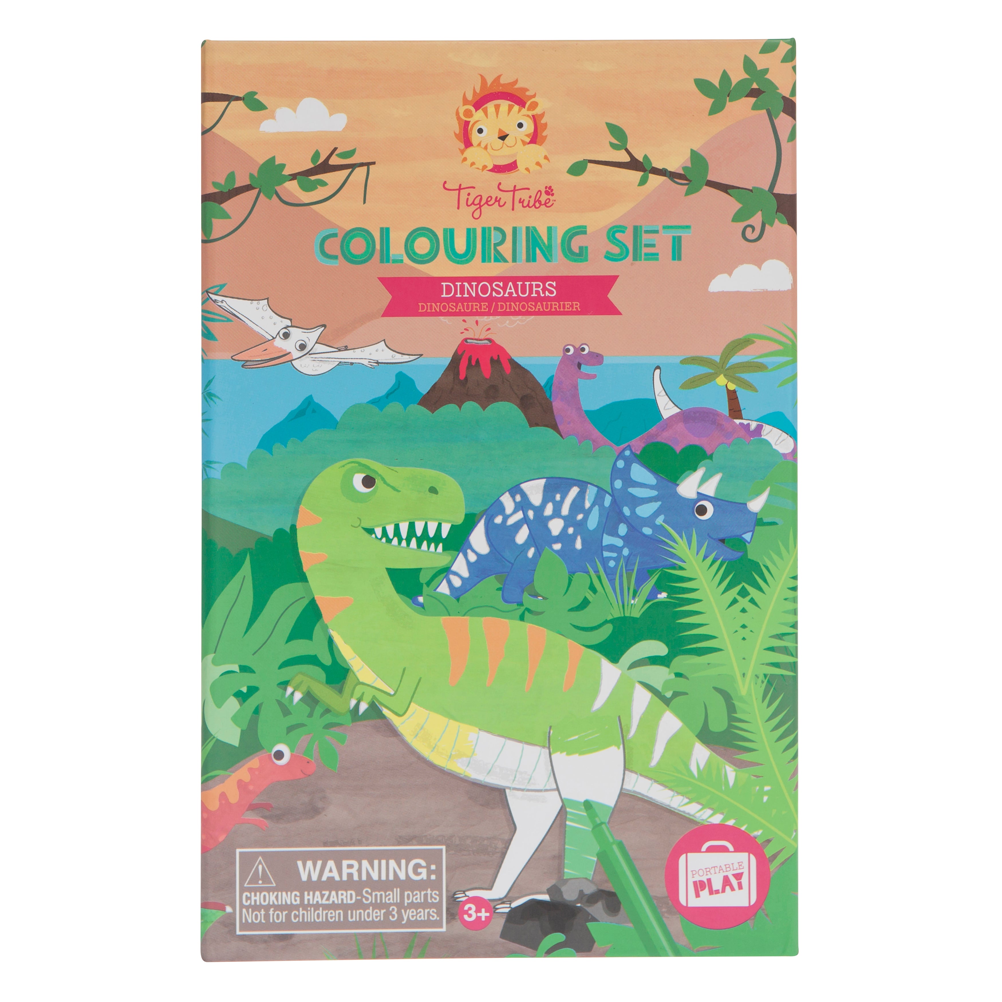 Tiger Tribe Colouring Set – Dinosaur
