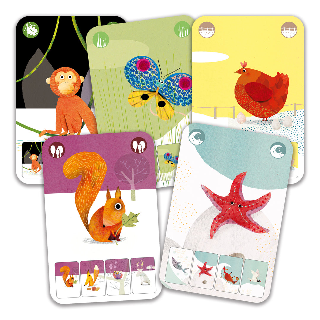 Djeco Card Game – Mini Nature