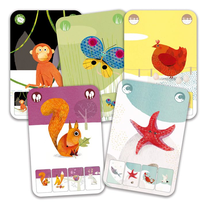 Djeco Card Game – Mini Nature