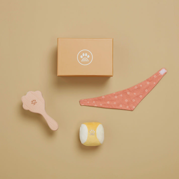 Olli Ella Dinkum Dog – Starter Set