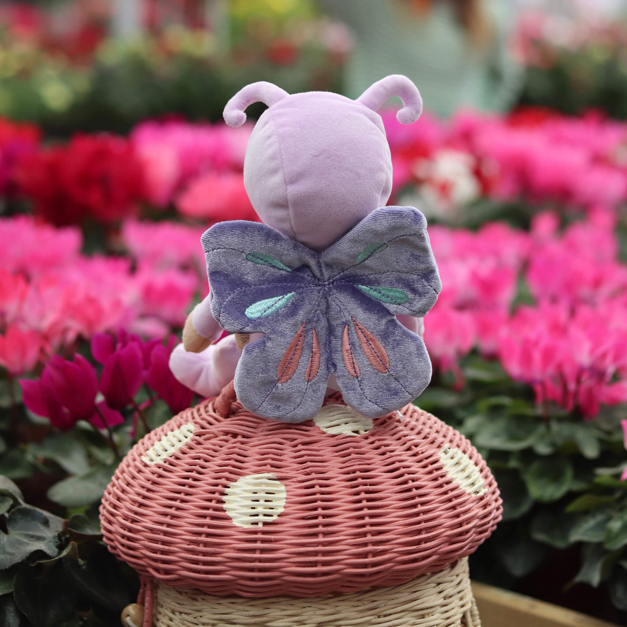 Olli Ella Backyard Buddies Dinky Dinkum Doll – Betty Butterfly