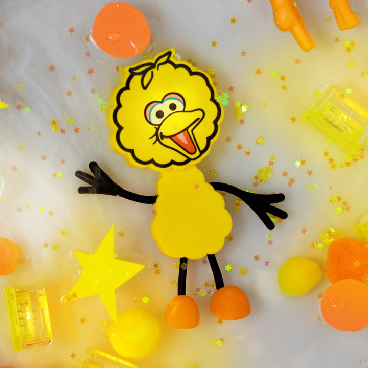 Glo Pals® Sesame Street Water Activated Light-Up Sensory Toys – Big Bird