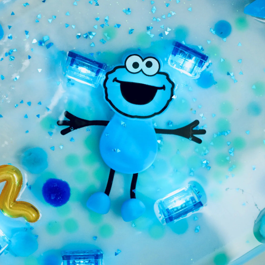 Glo Pals® Sesame Street Water Activated Light-Up Sensory Toys – Cookie Monster