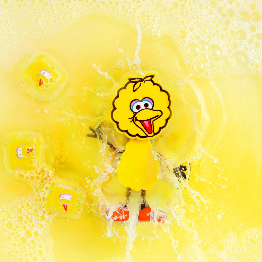 Glo Pals® Sesame Street Water Activated Light-Up Sensory Toys – Big Bird