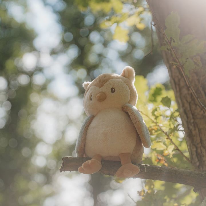 Little Dutch Soft Cuddle Owl – Forest Friends