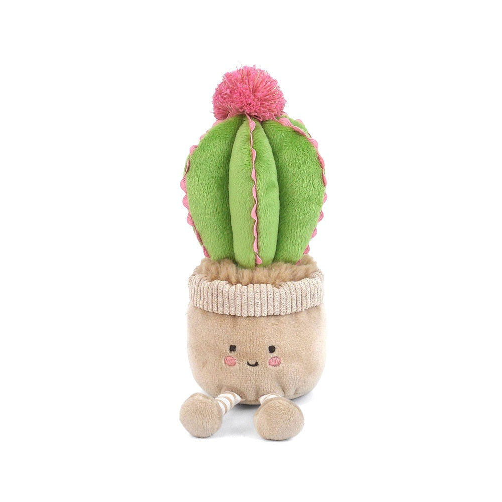 Mon Ami Cactus Cutie