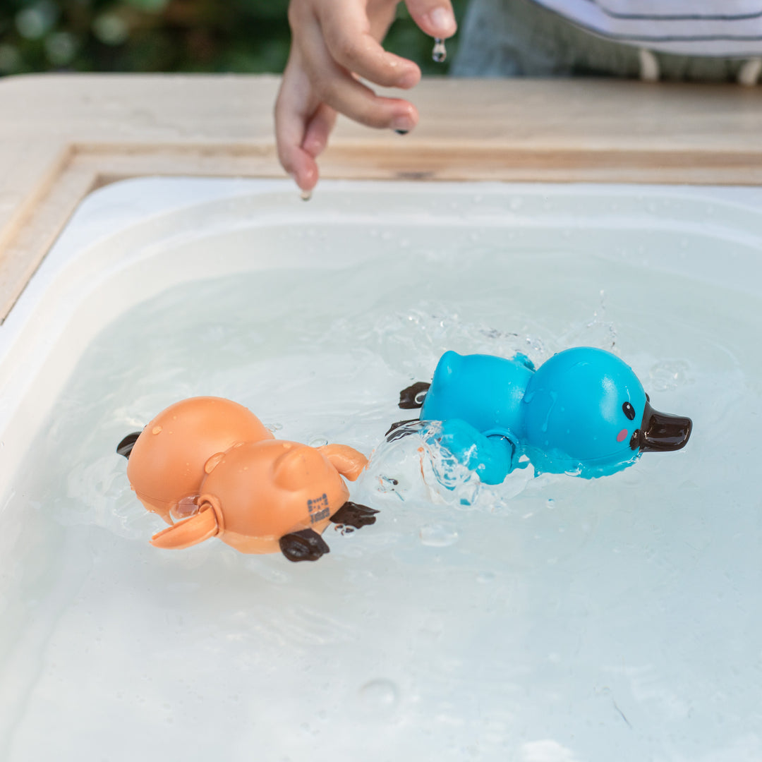 Tiger Tribe Bath Racers – Platypuses