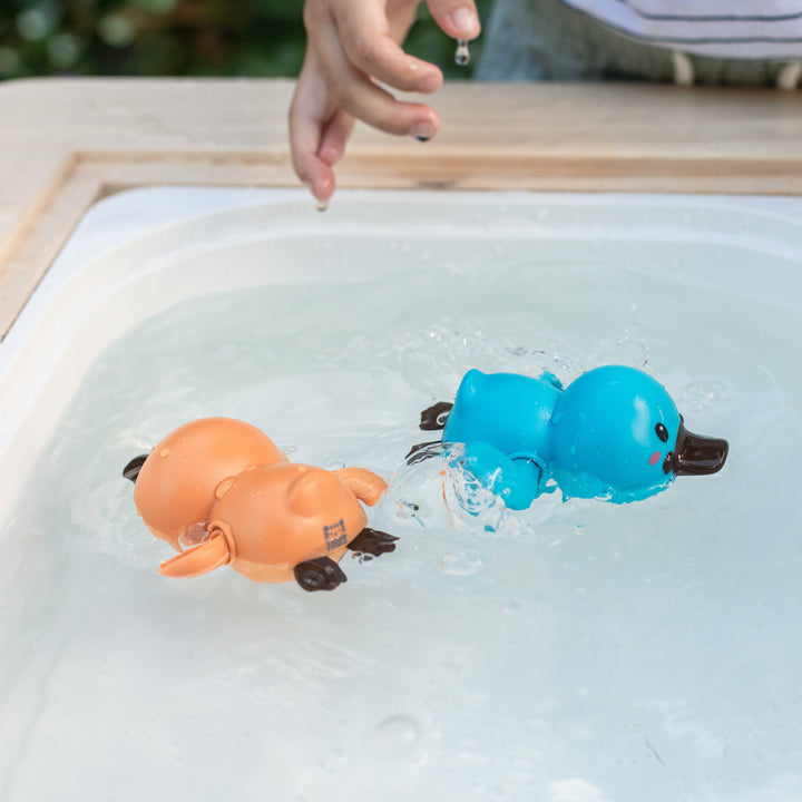 Tiger Tribe Bath Racers – Platypuses