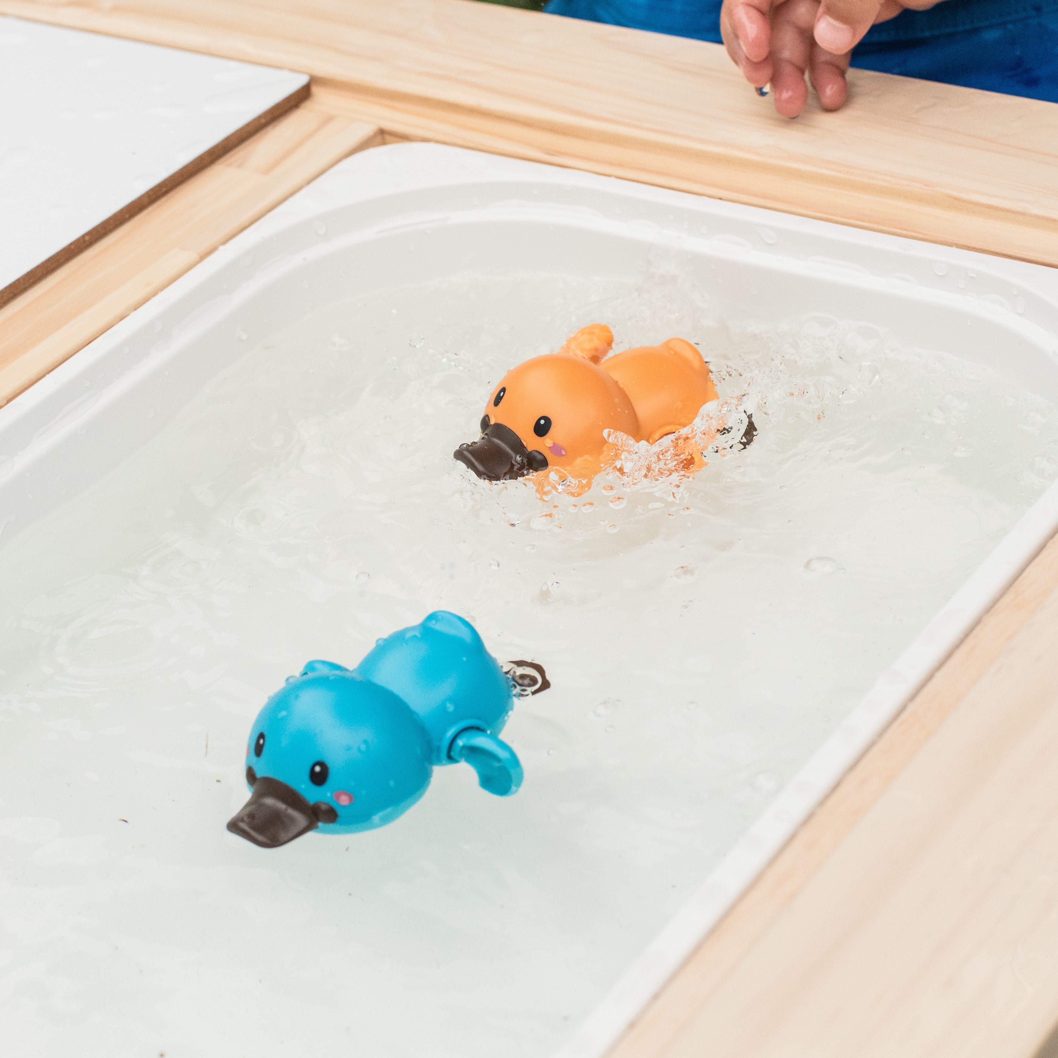 Tiger Tribe Bath Racers – Platypuses