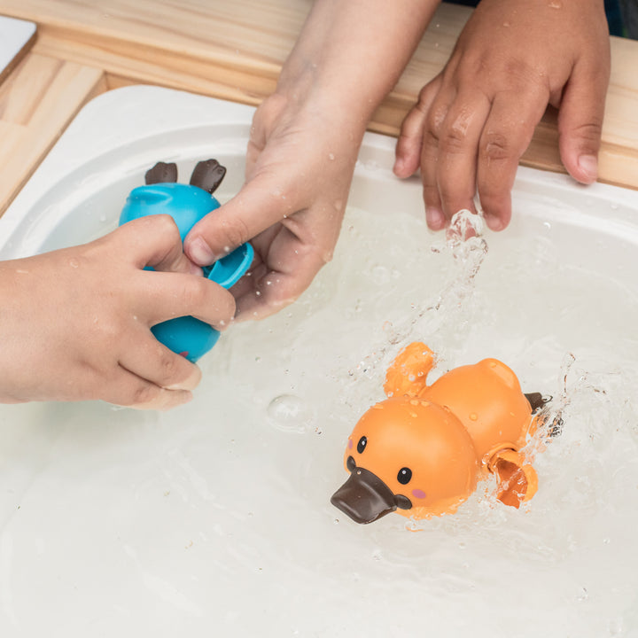 Tiger Tribe Bath Racers – Platypuses
