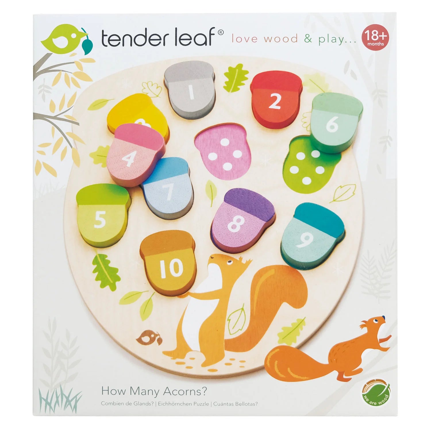 Tender Leaf How Many Acorns Counting Game