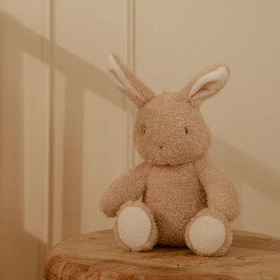 Little Dutch Cuddle Baby Bunny Light &amp; Sound – Newborn Naturals