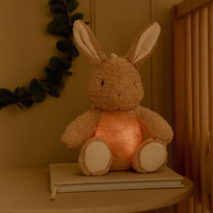 Little Dutch Cuddle Baby Bunny Light &amp; Sound – Newborn Naturals