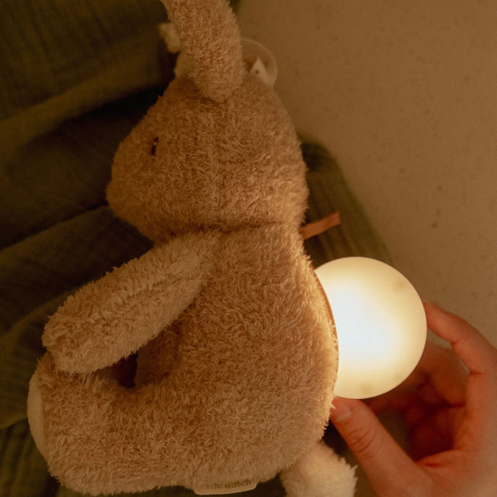 Little Dutch Cuddle Baby Bunny Light &amp; Sound – Newborn Naturals